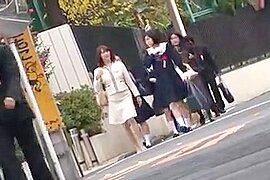 Molester omnibus - free porn video