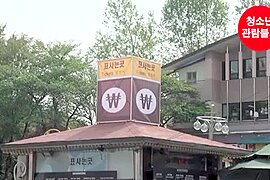 Collection Beauty Korean Sex No. Korean Porn - free porn video