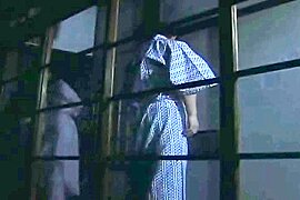 Japanese Nostalgic Porn #2 - free porn video