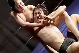 Asian muscle wrestling - free porn video