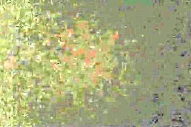 Dragon II Chara guy of personal photography Vol.06 bytes ahead of junior Kaho nineteen-year-old super-baby-faced - free porn video