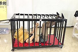 Asian Girl Caged And Box Hooded - free porn video