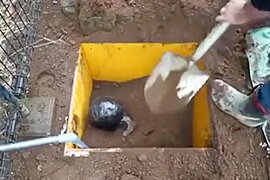 Hardcore Mummification And Buried Alive - Japanese - free porn video