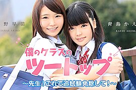 Sanae Akino, Kaede Aoshima Sanae Akino, Kaede Aoshima - Caribbeancom - free porn video