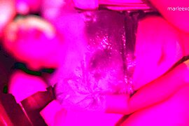 Fabulous Porn Scene Hd Watch , Check It - free porn video