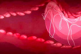Silent Magnetic Yearning_19020101p0 - free porn video