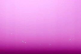 Dark Naughty Existence under a fading moon - free porn video